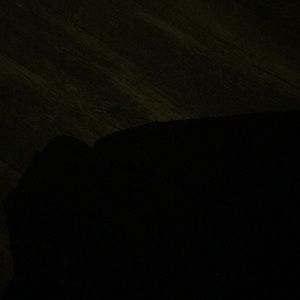 Meet your Posher, Caleb